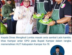 Meriahkan HUT ke-76 Kampar, Kadishub Aidil Ikut Lomba Masak Sambal Lado Kambiu